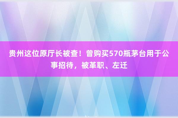 贵州这位原厅长被查！曾购买570瓶茅台用于公事招待，被革职、左迁