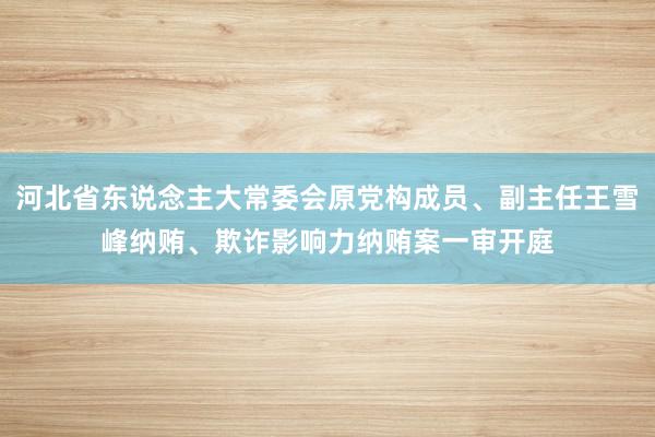 河北省东说念主大常委会原党构成员、副主任王雪峰纳贿、欺诈影响力纳贿案一审开庭