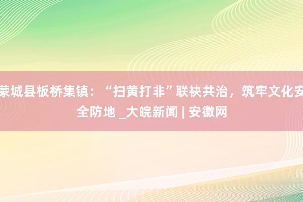 蒙城县板桥集镇：“扫黄打非”联袂共治，筑牢文化安全防地 _大皖新闻 | 安徽网