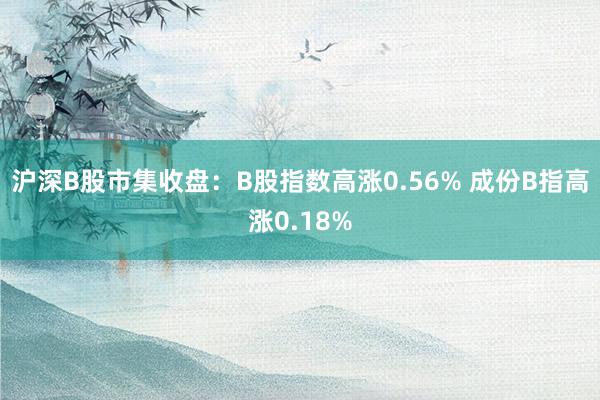 沪深B股市集收盘：B股指数高涨0.56% 成份B指高涨0.18%