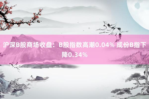 沪深B股商场收盘：B股指数高潮0.04% 成份B指下降0.34%