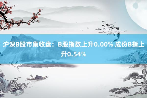 沪深B股市集收盘：B股指数上升0.00% 成份B指上升0.54%