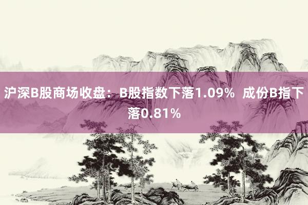 沪深B股商场收盘：B股指数下落1.09%  成份B指下落0.81%