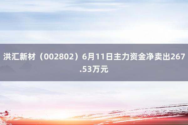 洪汇新材（002802）6月11日主力资金净卖出267.53万元