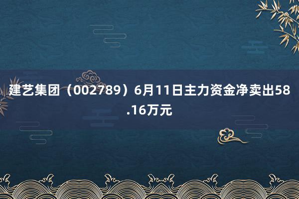 建艺集团（002789）6月11日主力资金净卖出58.16万元