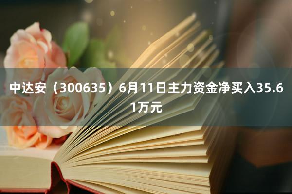 中达安（300635）6月11日主力资金净买入35.61万元