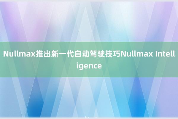 Nullmax推出新一代自动驾驶技巧Nullmax Intelligence