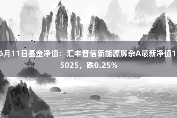 6月11日基金净值：汇丰晋信新能源羼杂A最新净值1.5025，跌0.25%