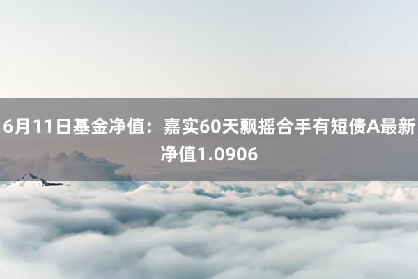 6月11日基金净值：嘉实60天飘摇合手有短债A最新净值1.0906