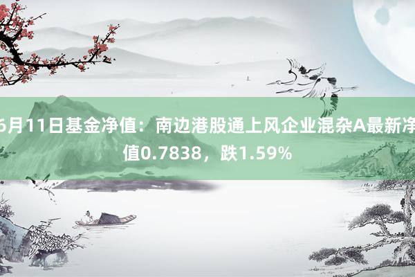 6月11日基金净值：南边港股通上风企业混杂A最新净值0.7838，跌1.59%