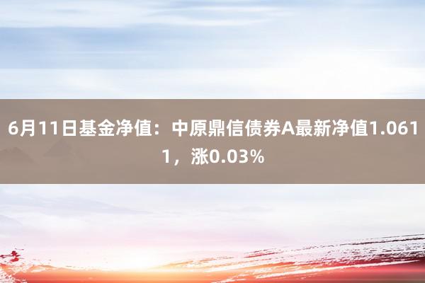 6月11日基金净值：中原鼎信债券A最新净值1.0611，涨0.03%