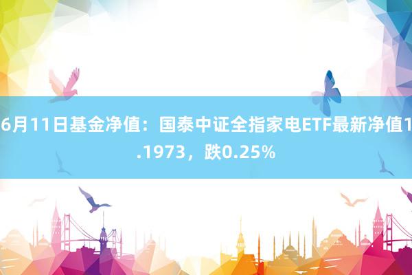 6月11日基金净值：国泰中证全指家电ETF最新净值1.1973，跌0.25%