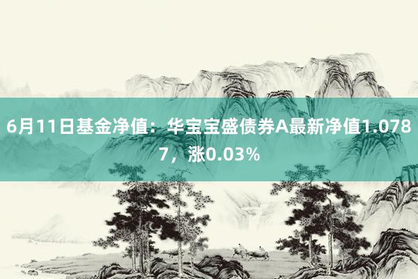 6月11日基金净值：华宝宝盛债券A最新净值1.0787，涨0.03%