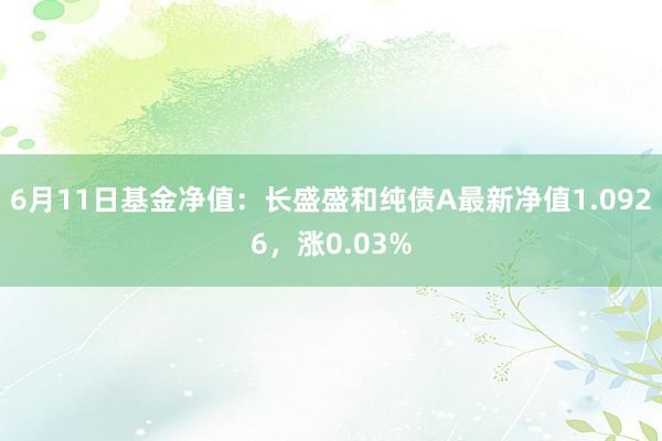 6月11日基金净值：长盛盛和纯债A最新净值1.0926，涨0.03%