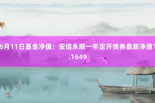 6月11日基金净值：安信永顺一年定开债券最新净值1.1649