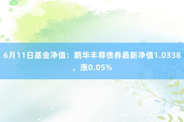 6月11日基金净值：鹏华丰尊债券最新净值1.0338，涨0.05%