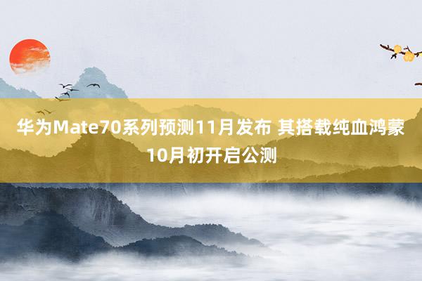 华为Mate70系列预测11月发布 其搭载纯血鸿蒙10月初开启公测