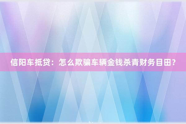 信阳车抵贷：怎么欺骗车辆金钱杀青财务目田？