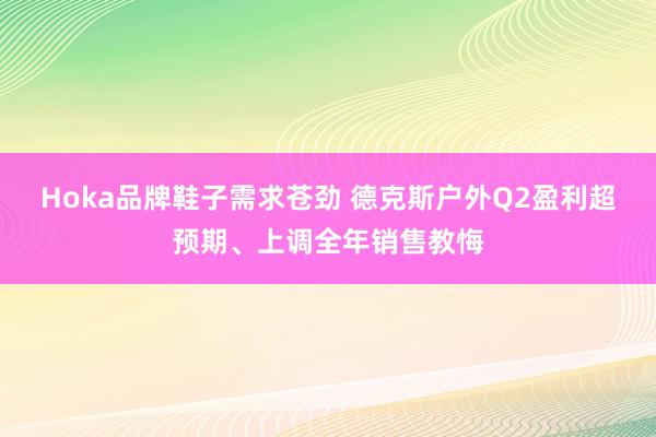 Hoka品牌鞋子需求苍劲 德克斯户外Q2盈利超预期、上调全年销售教悔